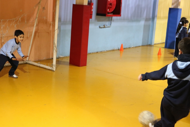 Día de la Actividad Física